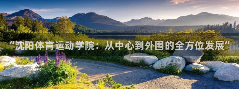 德国尊龙官方正版app集团：“沈阳体育运动学院：从中