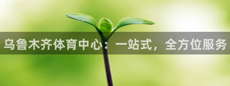 尊龙官网下载平台是正规平台吗安全吗：乌鲁木齐体育中心