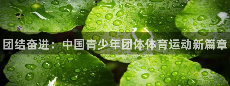 尊龙官网下载平台注册要钱吗：团结奋进：中国青少年团体