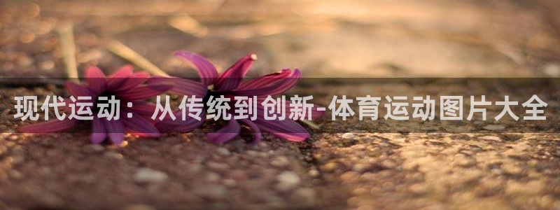 尊龙官方正版app娱乐下载：现代运动：从传统到创新-
