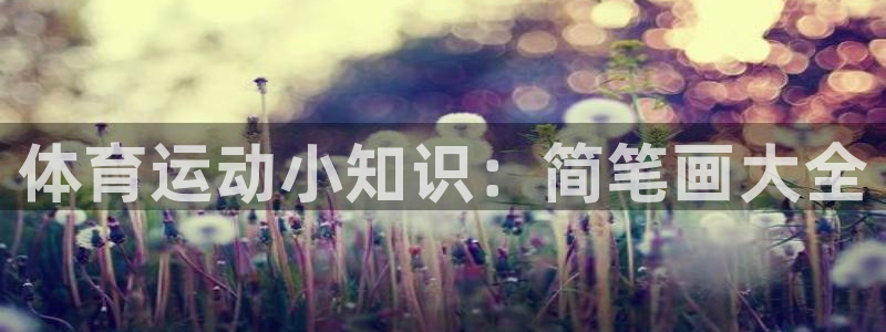 尊龙官方正版app开户：体育运动小知识：简笔画大全