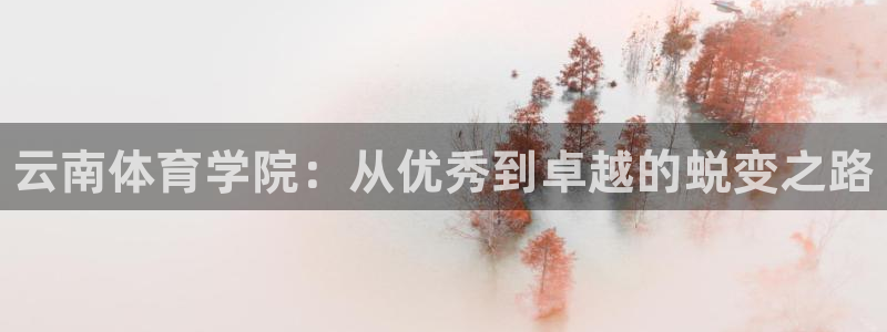 尊龙官方正版app娱乐是那个系列的台子：云南体育学院