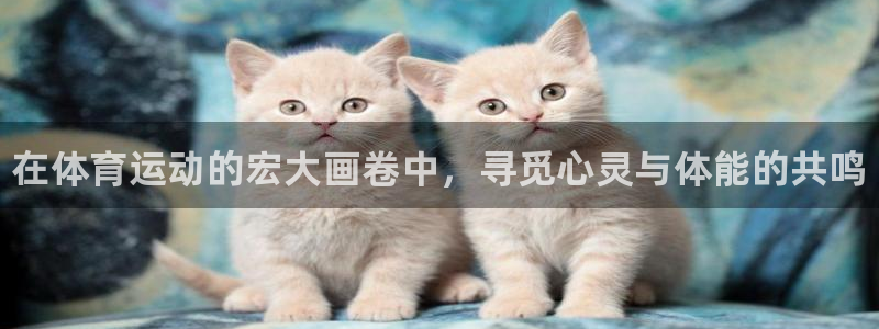 尊龙官方正版app娱乐首页官网下载：在体育运动的宏大