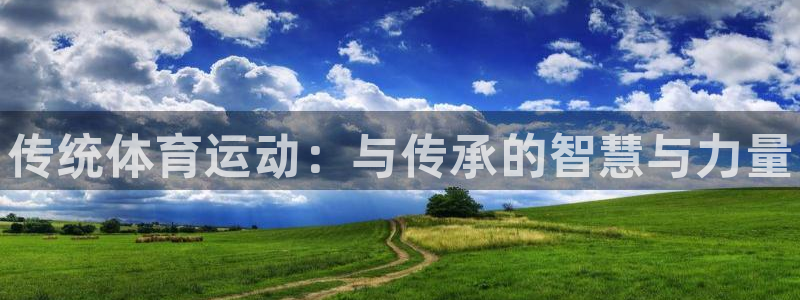 尊龙官网下载平台注册要钱吗安全吗：传统体育运动：与传