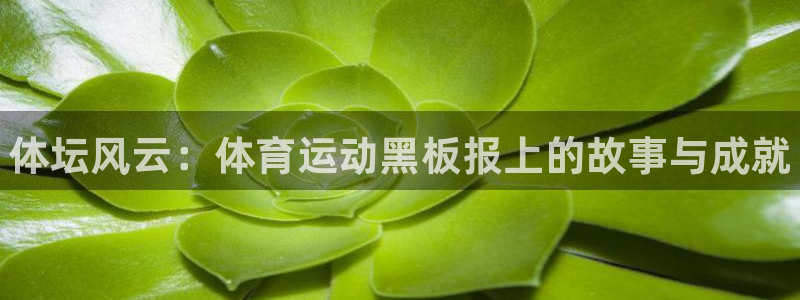 海南尊龙官网下载：体坛风云：体育运动黑板报上的故事与