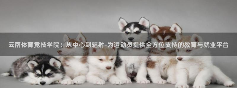 尊龙官方正版app娱乐40996：云南体育竞技学院：