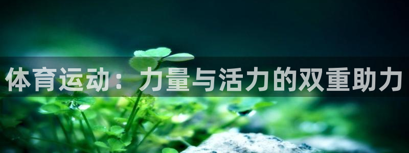 尊龙官网下载招商