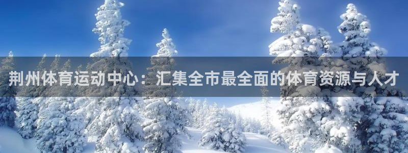 尊龙官网下载招商电话号码查询：荆州体育运动中心：汇集全市最全