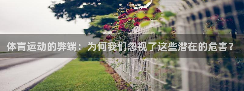 尊龙官方正版app新能源：体育运动的弊端：为何我们忽视了这些