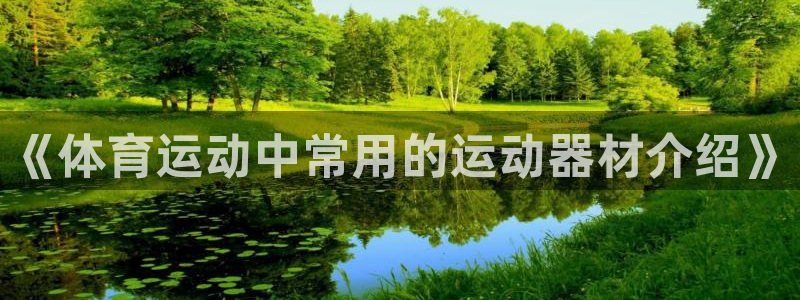 尊龙官网下载是干嘛的公司：《体育运动中常用的运动器材介绍》