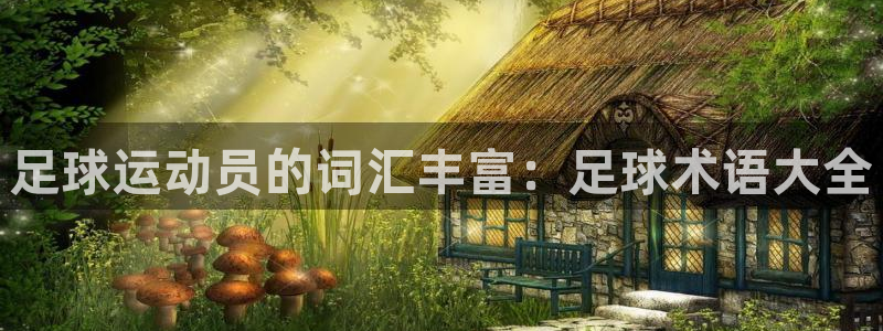 尊龙官网下载联系电话：足球运动员的词汇丰富：足球术语大全