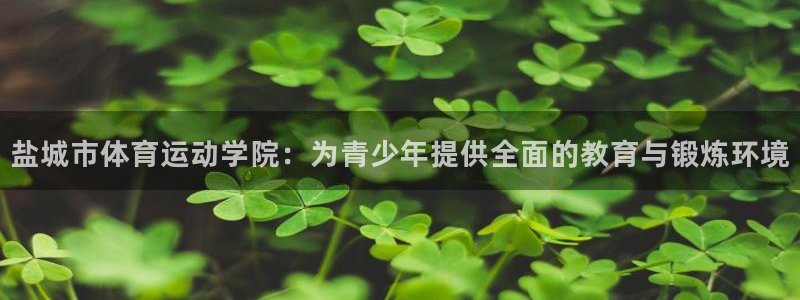 海南尊龙官网下载发展怎么样：盐城市体育运动学院：为青少年提供