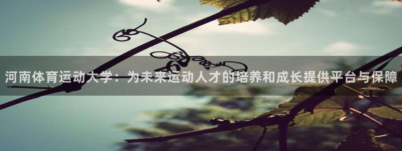 海南尊龙官网下载：河南体育运动大学：为未来运动人才的培养和成
