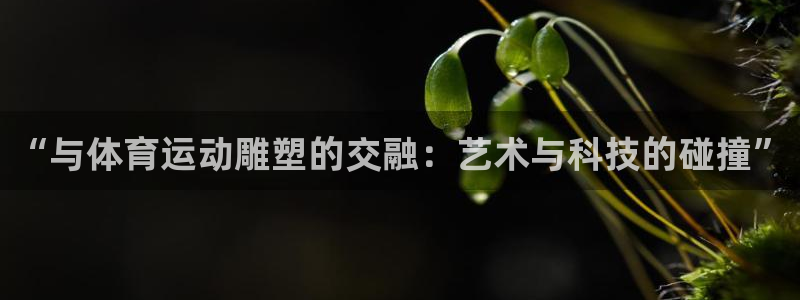 尊龙官方正版app神州：“与体育运动雕塑的交融：艺术