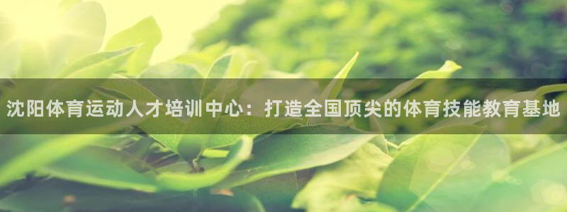 尊龙官方平台体育：沈阳体育运动人才培训中心：打造全国