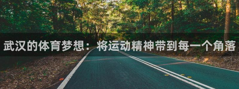 尊龙官网下载平台注册流程图：武汉的体育梦想：将运动精