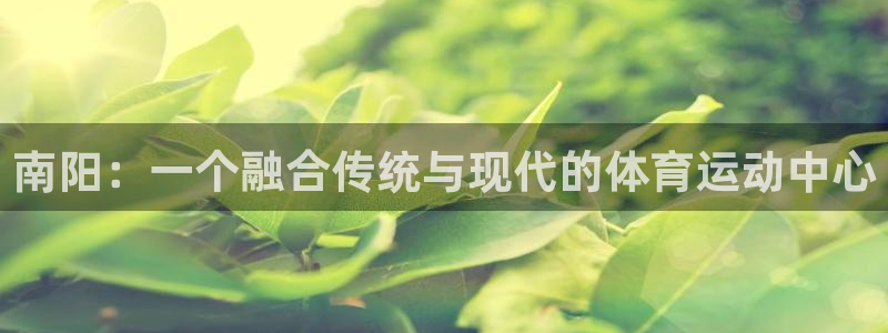 尊龙官网下载招商电话是多少号码：南阳：一个融合传统与现代的体