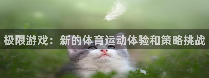 尊龙官网下载联系电话：极限游戏：新的体育运动体验和策略挑战