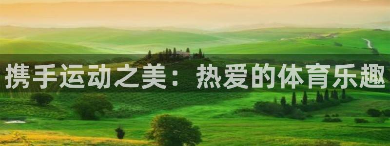 尊龙官网下载平台APP：携手运动之美：热爱的体育乐趣