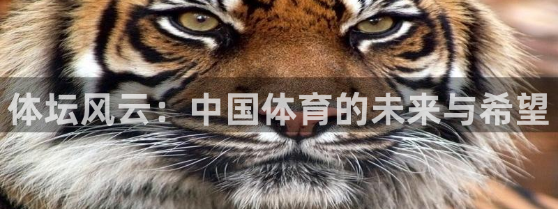 尊龙官方正版app神州