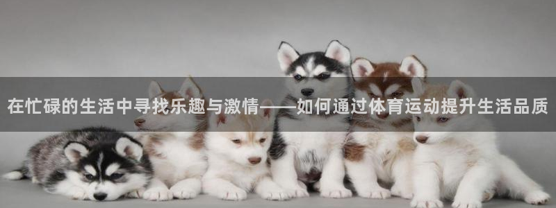 尊龙官网下载招商电话号码是多少：在忙碌的生活中寻找乐