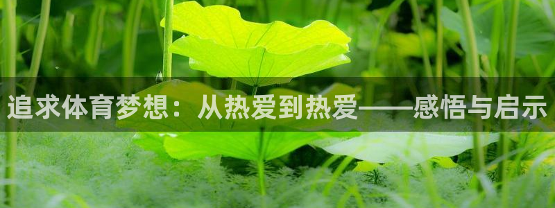 尊龙官方正版app娱乐