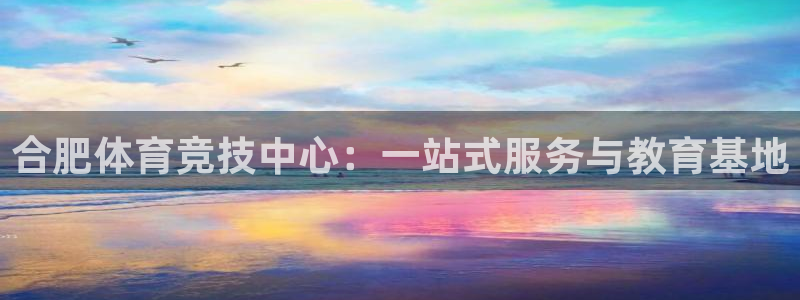 尊龙官网下载招商电话地址是多少:合肥体育竞技中心:一站式服务