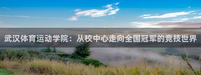 尊龙官网下载是干嘛的公司:武汉体育运动学院:从校中心走向全国