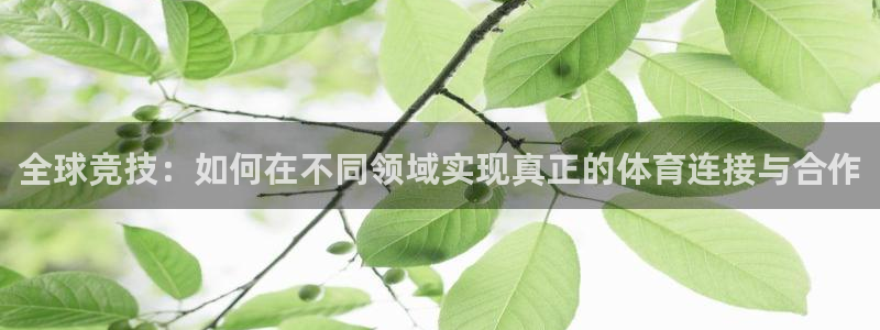 尊龙官网下载平台注册要钱吗安全吗:全球竞技:如何在不同领域实
