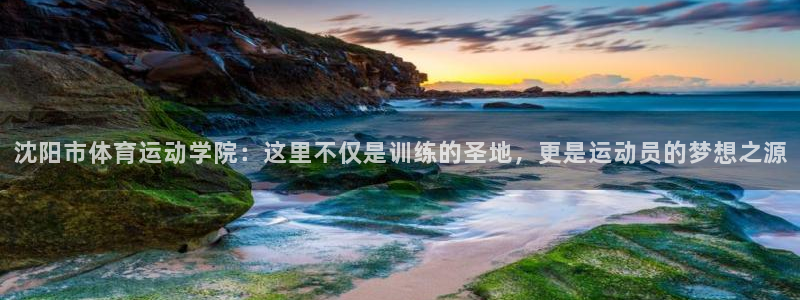尊龙官方正版app集团简介:沈阳市体育运动学院:这里不仅是训