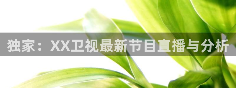 新闻图片